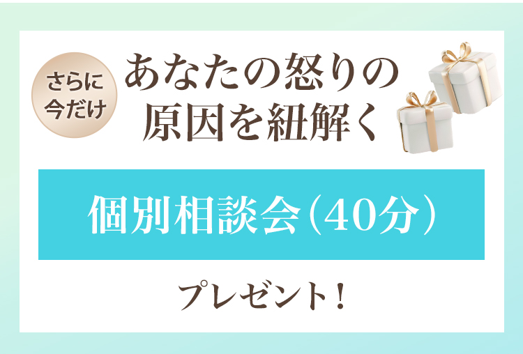 個別相談会プレゼント
